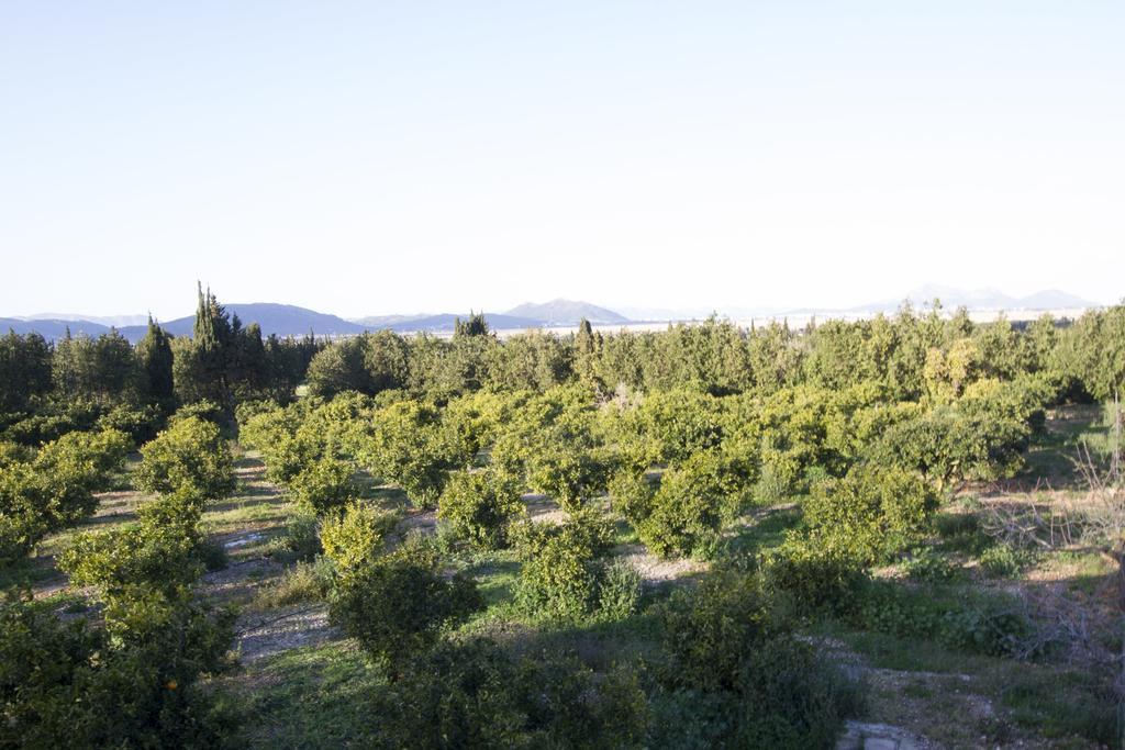 Mon Boutique Hotel Pollenca Luaran gambar